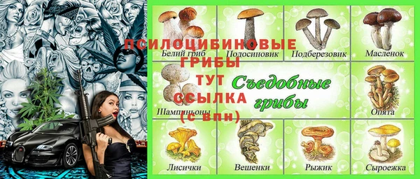 гашик Армянск