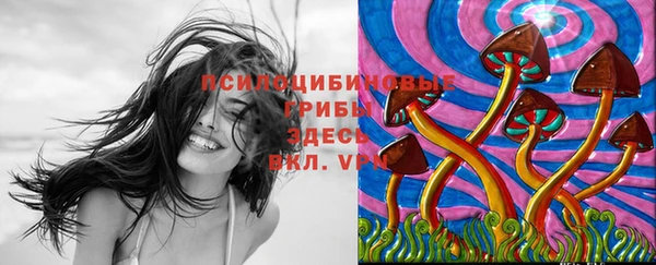 мяу мяу кристалл Аркадак