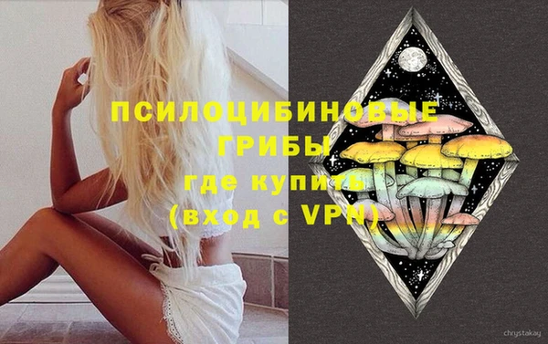 гашик Армянск